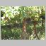 za0137.html